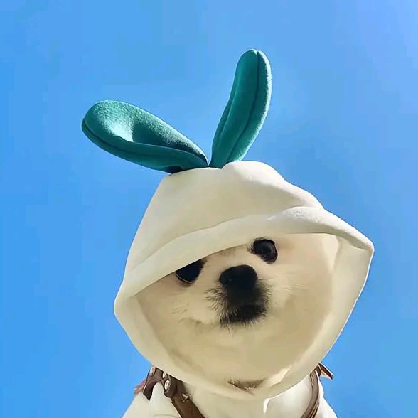 小樱桃