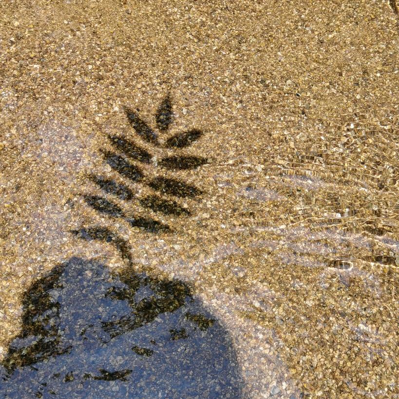 长春修门窗小能手