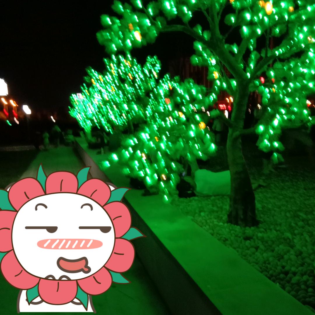 人生不易