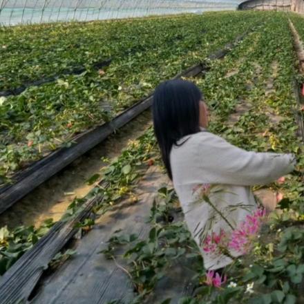 এ᭄看透ꦿ꯭ꫛ不说透ꫀꪝ