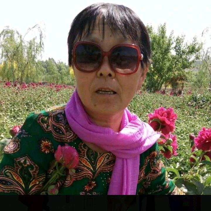 杨淑珍