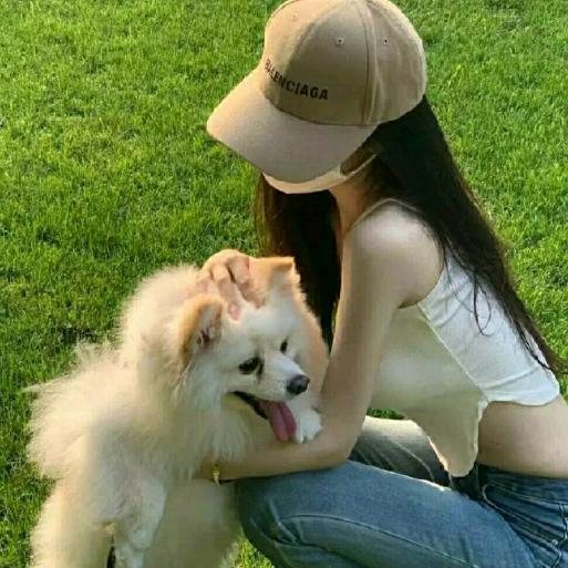 王婷o
