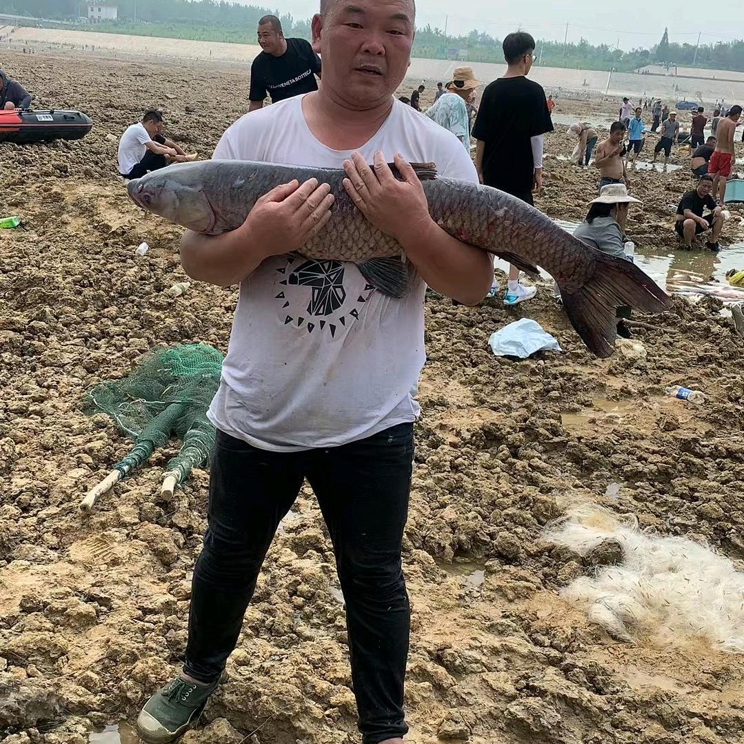 幸福星