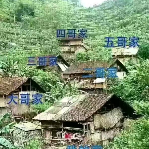伤心的女人