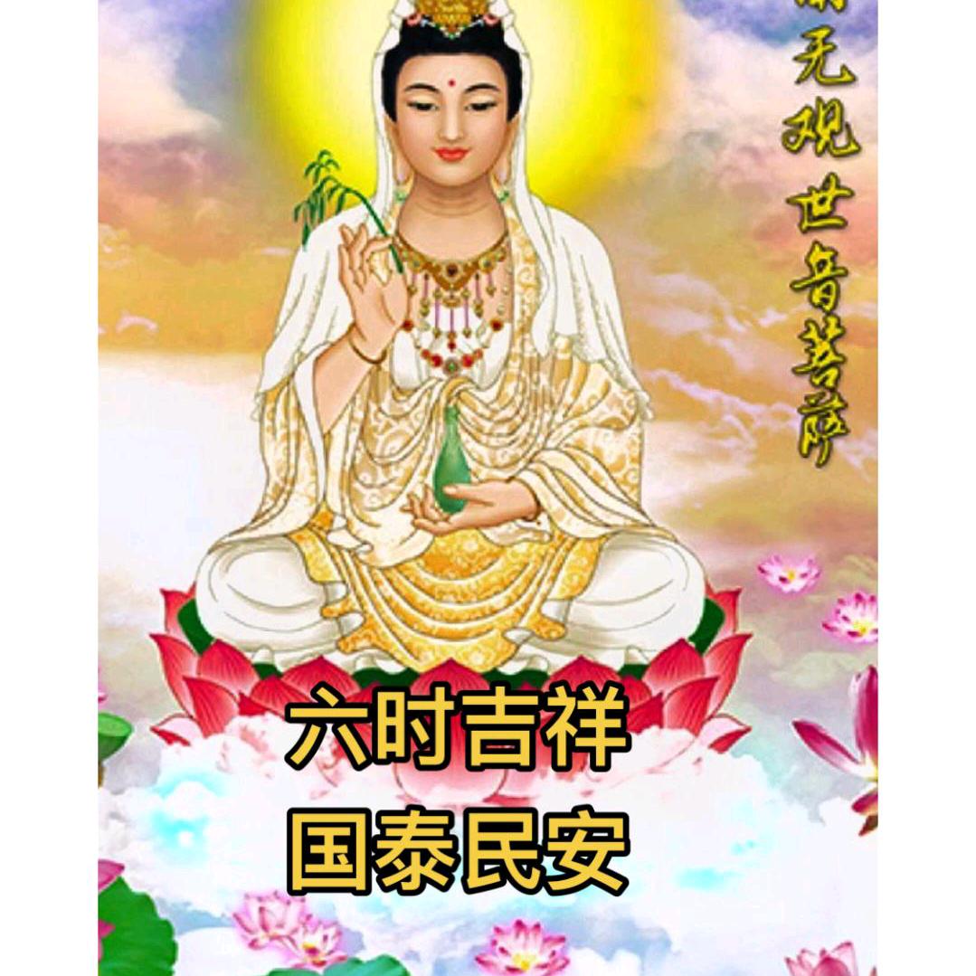 红牡丹