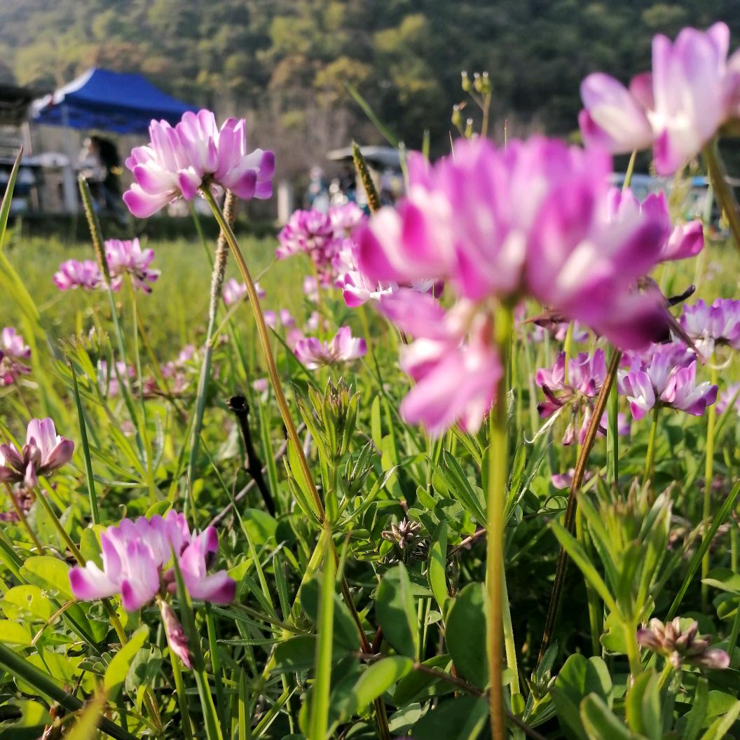 🌈🌈🌈我的小幸福