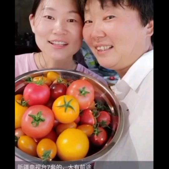 新疆蔡李氏有机蔬菜采摘园