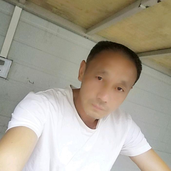 夏天的雨林头像
