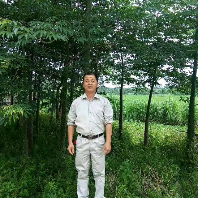 覃伟倡