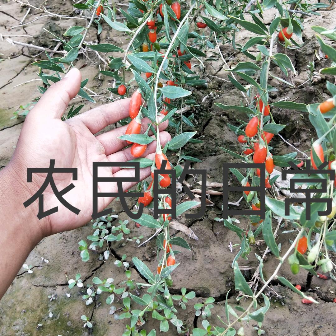 🌈春天夏天