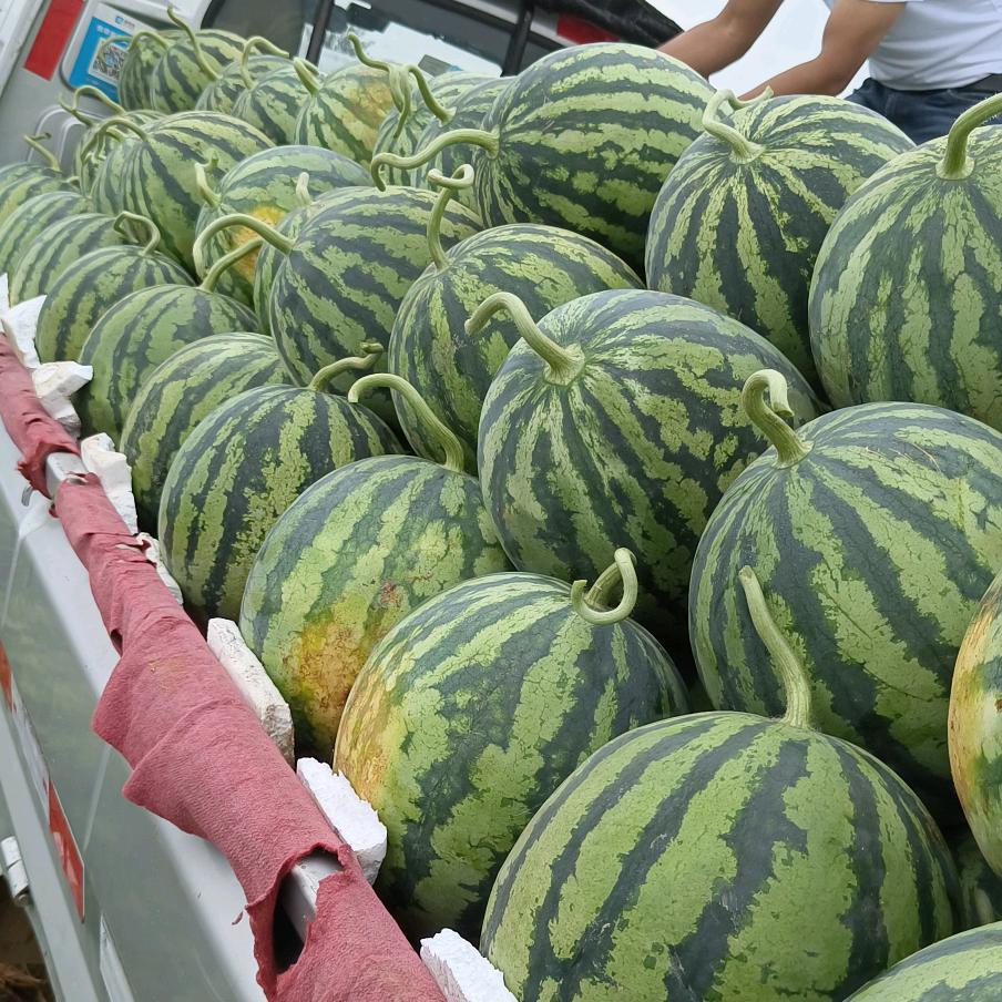 @💞᭄浅笑安然🥀