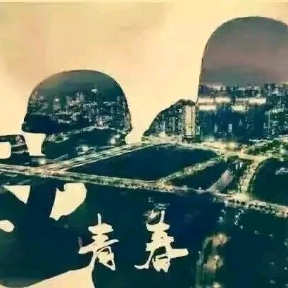 一只羊。