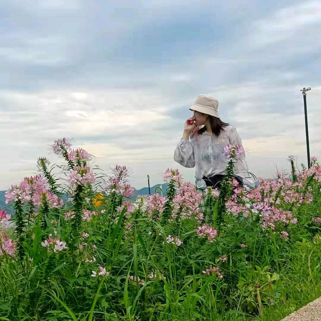 雅雅__（1314鼓舞团）