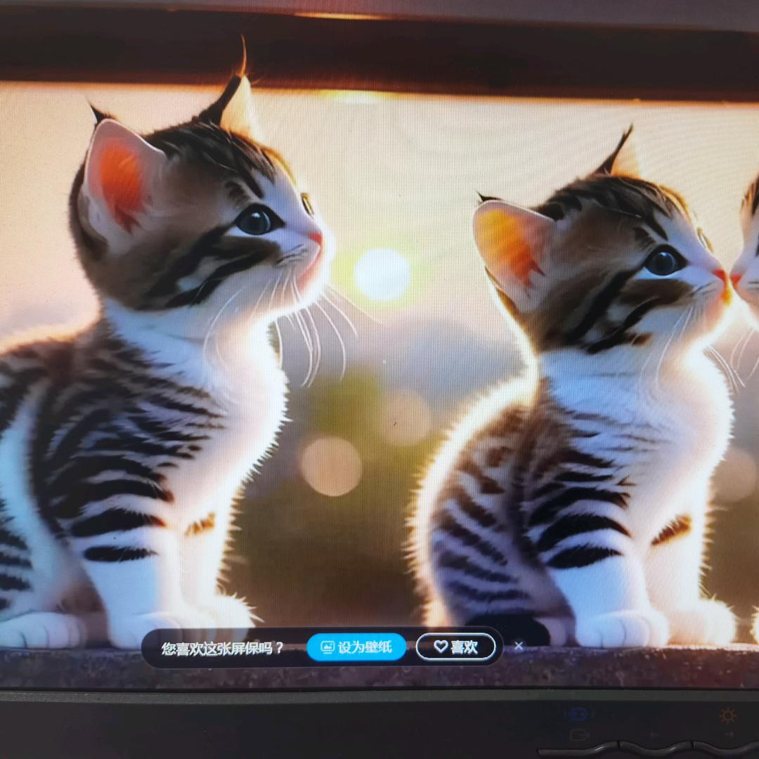 阳光普照紫气东来