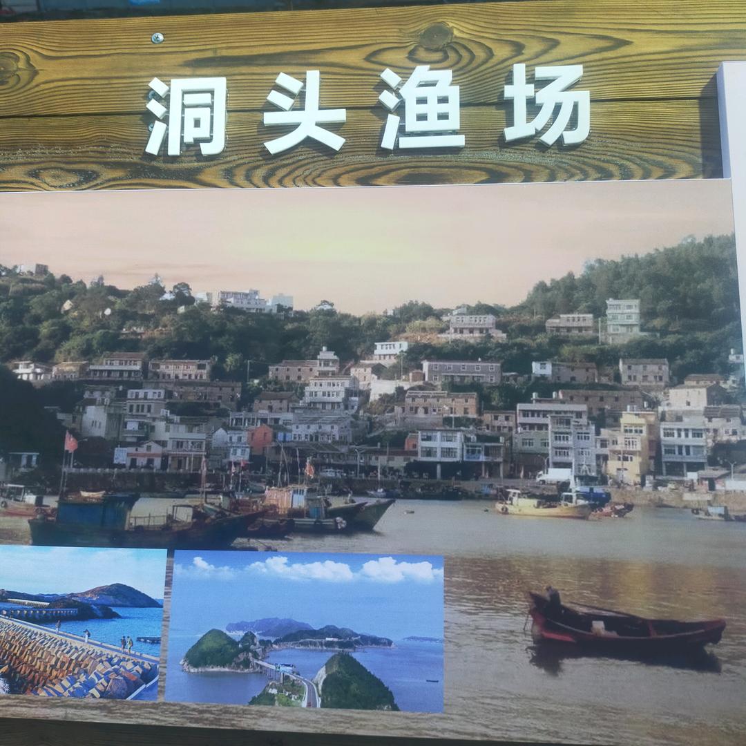 用户情定终身