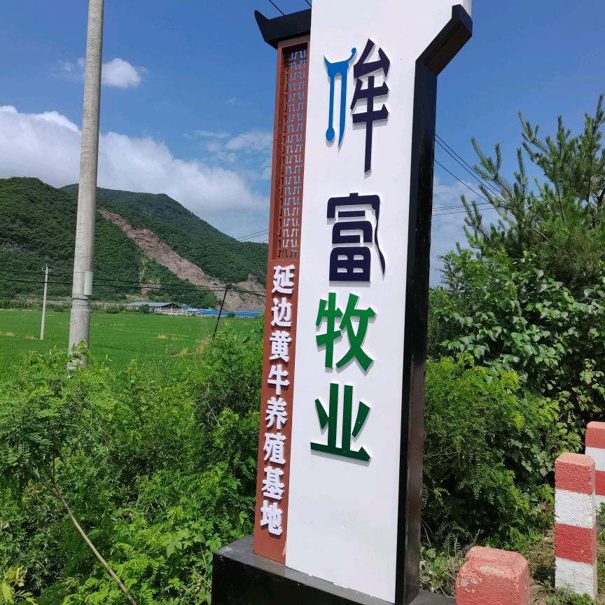 延吉市哞富黄牛肉（每天9:40直播）