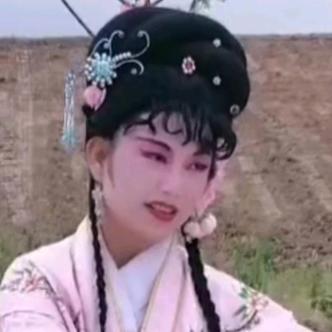 飞燕￥凌云