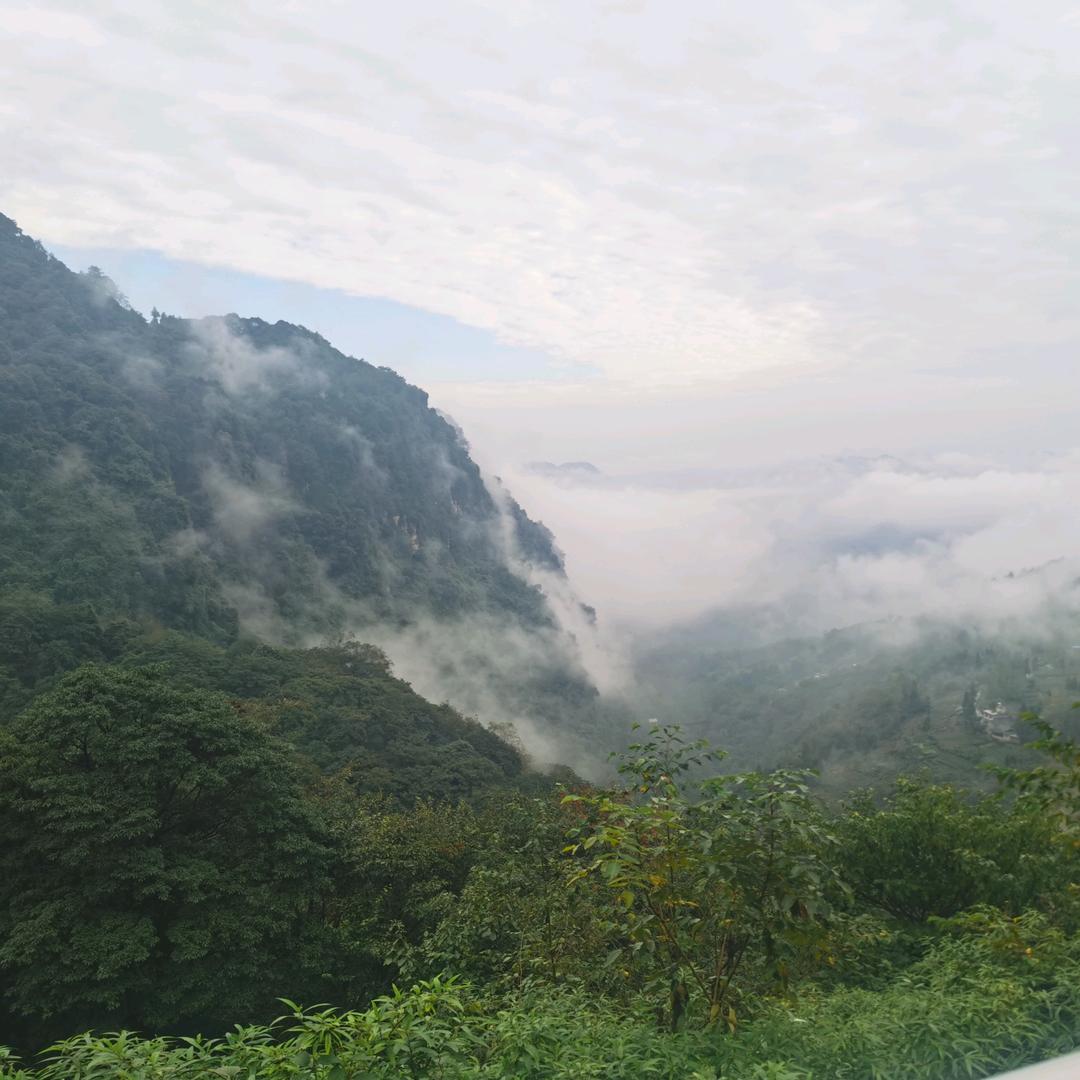 风雨同行