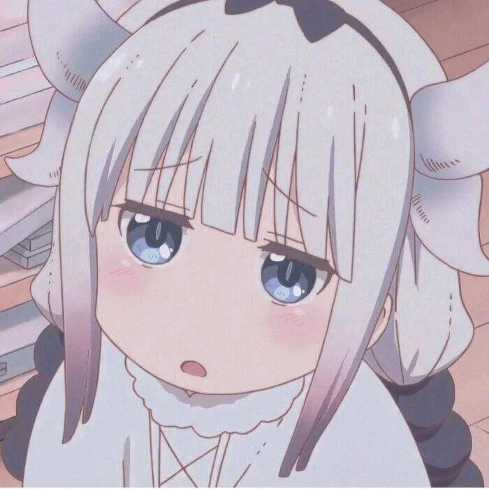 猫🐱