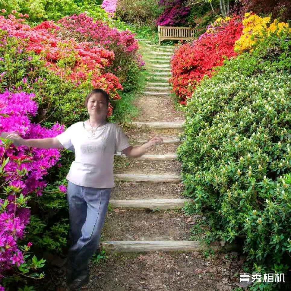 谁懂我心（陈）