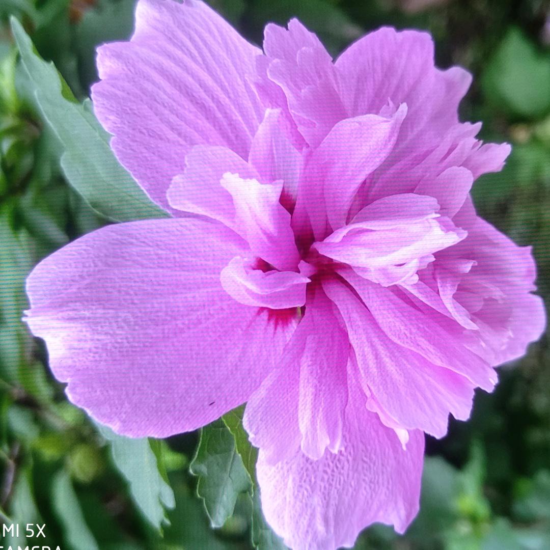 昊瀚星辰梓豪一生