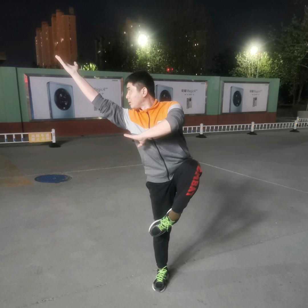 盐山通背劈挂拳