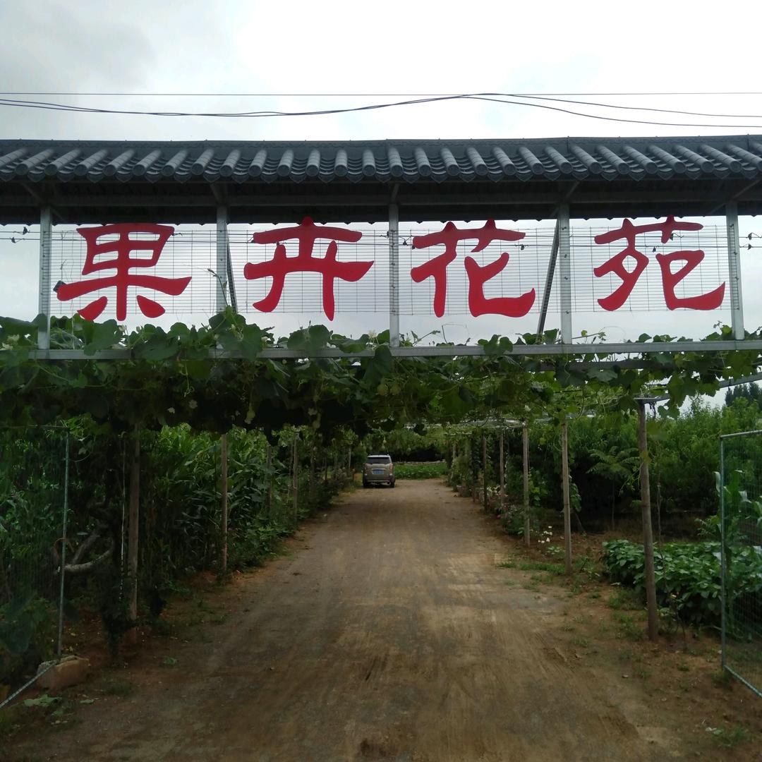 山亭卞庄果卉花苑