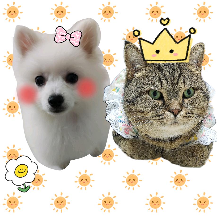 太阳花，喜欢健身(拒绝私聊)