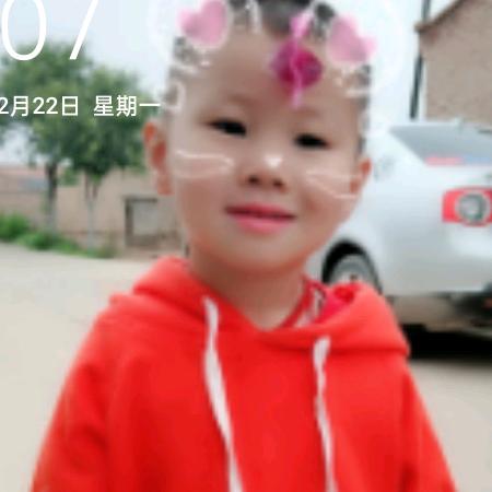 璐璐