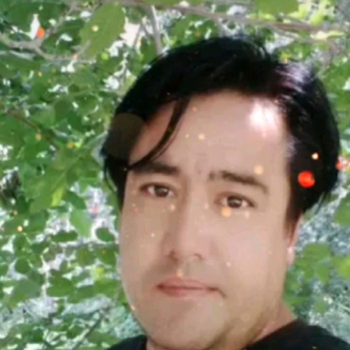 umut59338