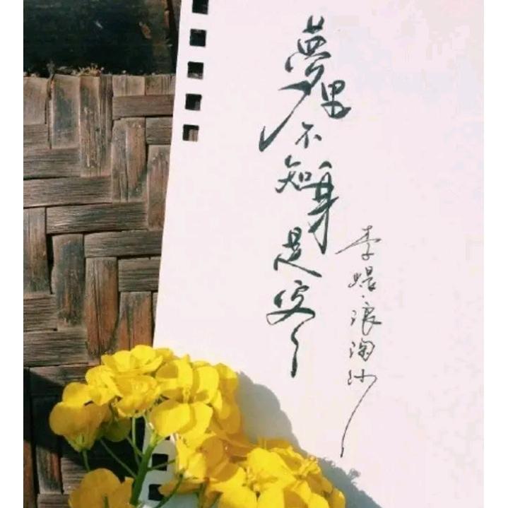 梦里不知身是客、一晌贪欢