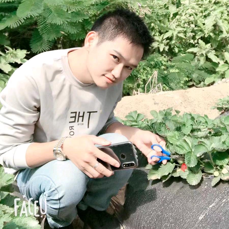 给生活比叶