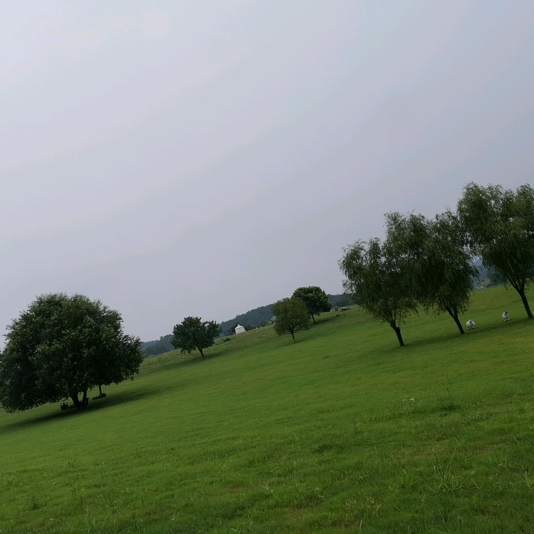 感动天感动地