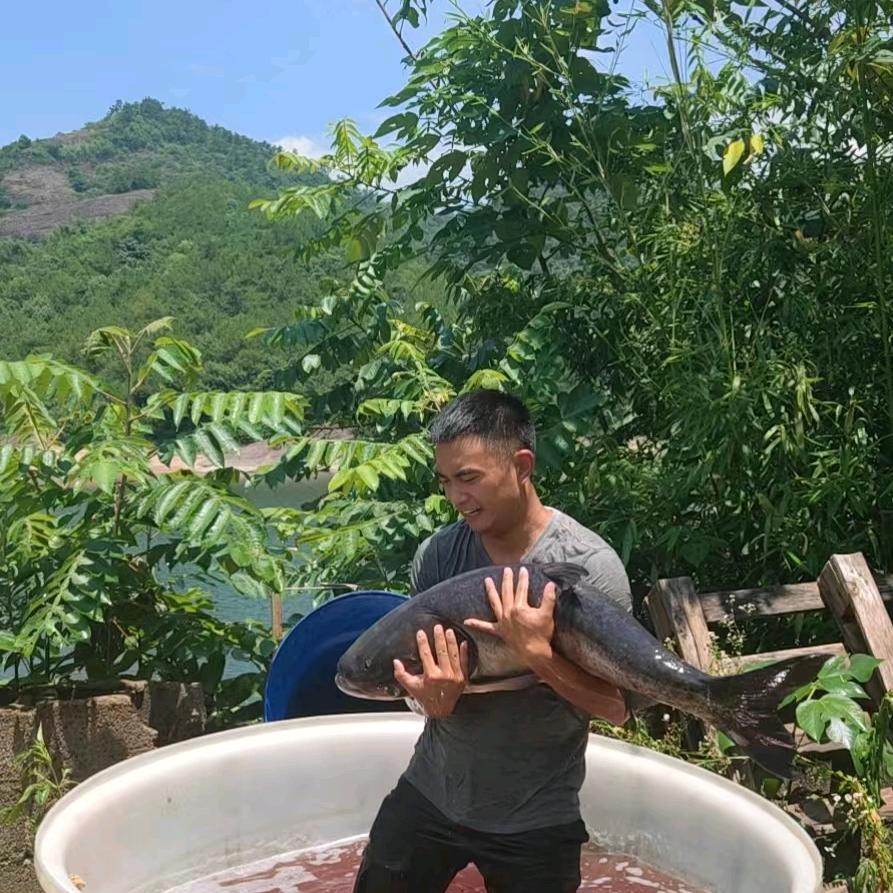 三联水库~洪晒哥
