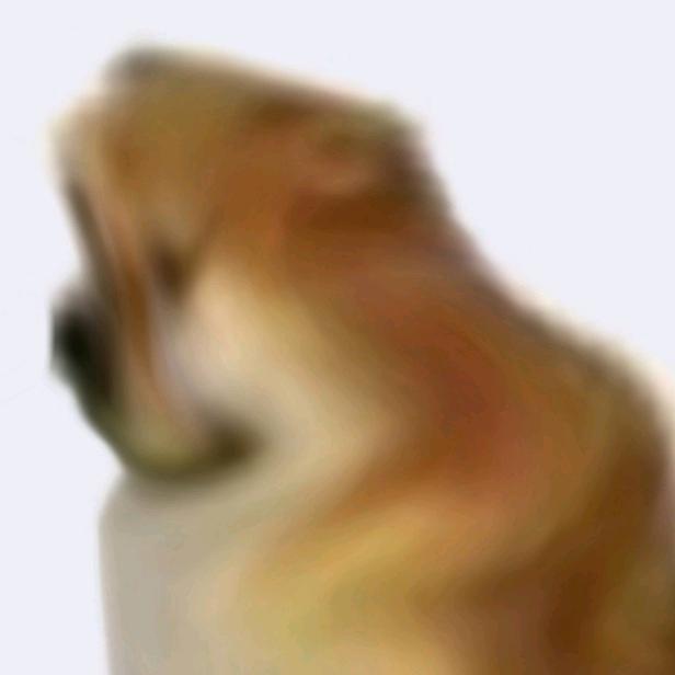 一只🐶