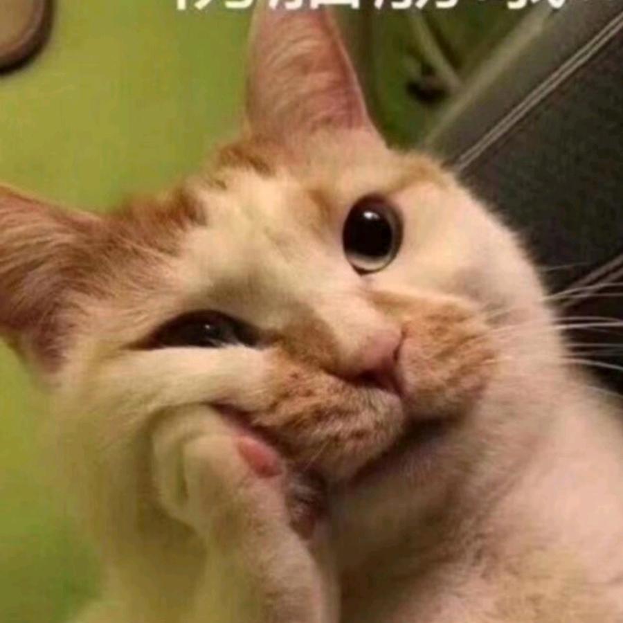 明天好呀