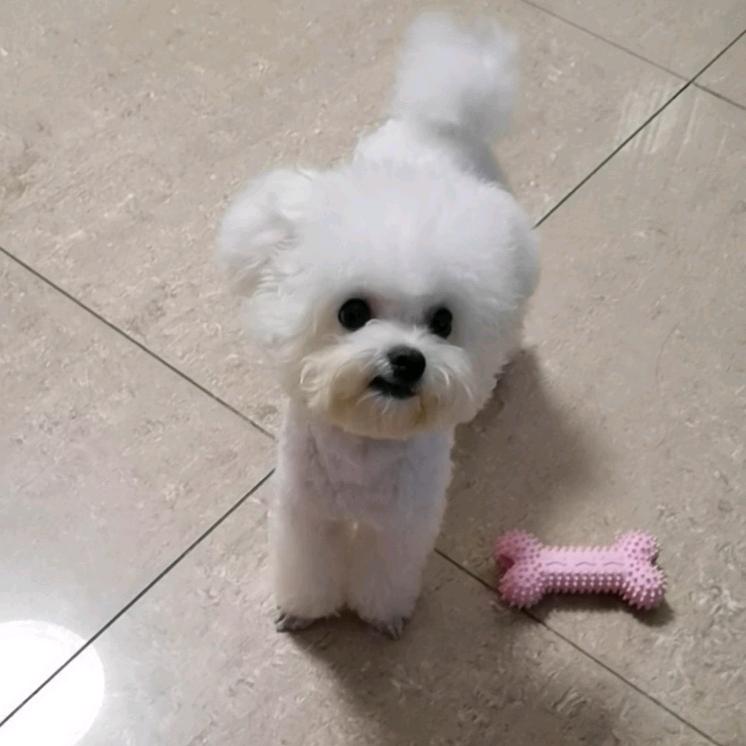 Vivian～～～
