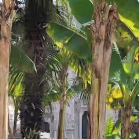 🥀এ᭄封心鎖愛 ོ࿐ᩚ