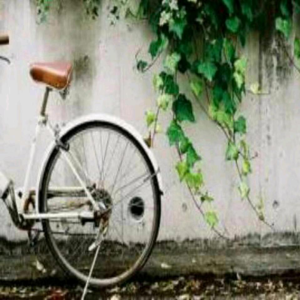 淡然一越来越好