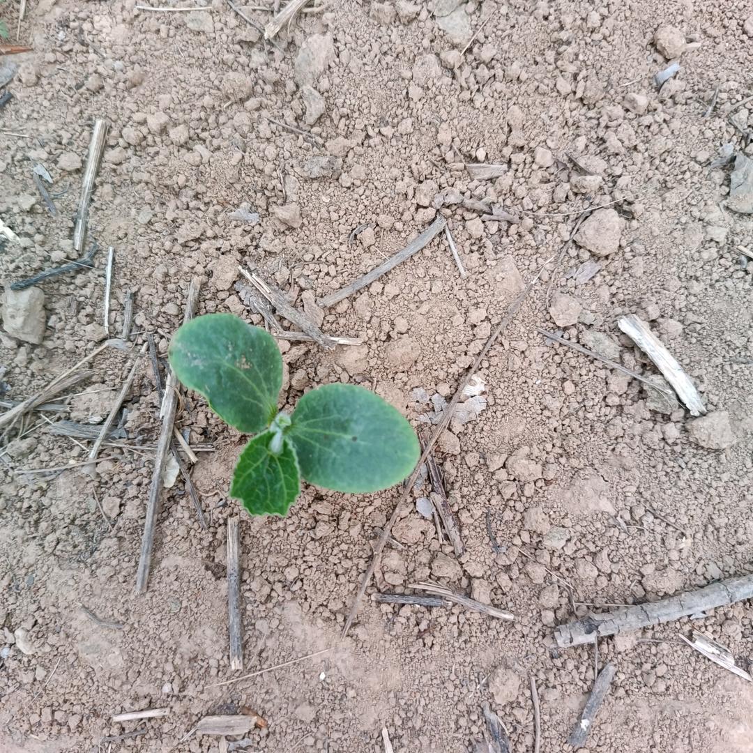 以后再也不要相信任何人告别过去珍惜最近