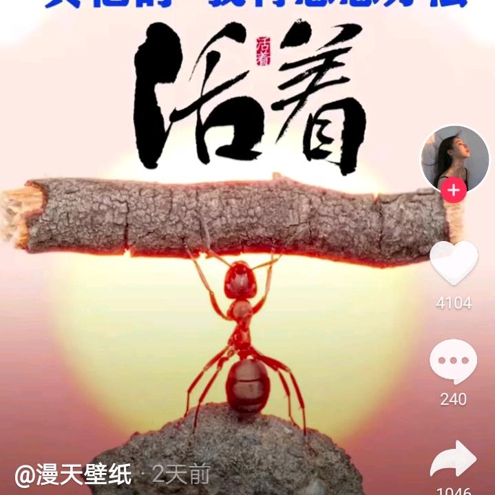 好好做自己