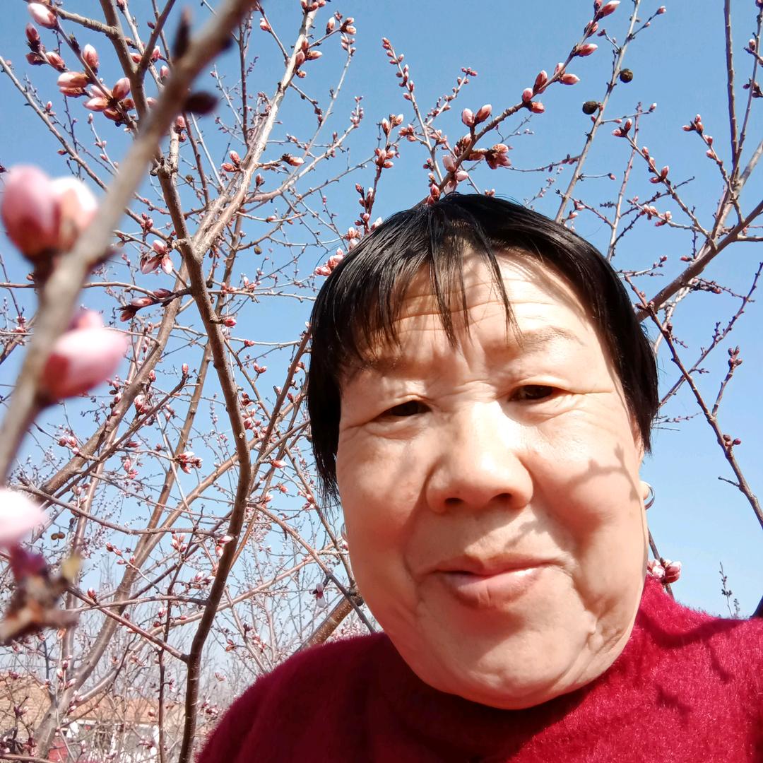 我爱我家