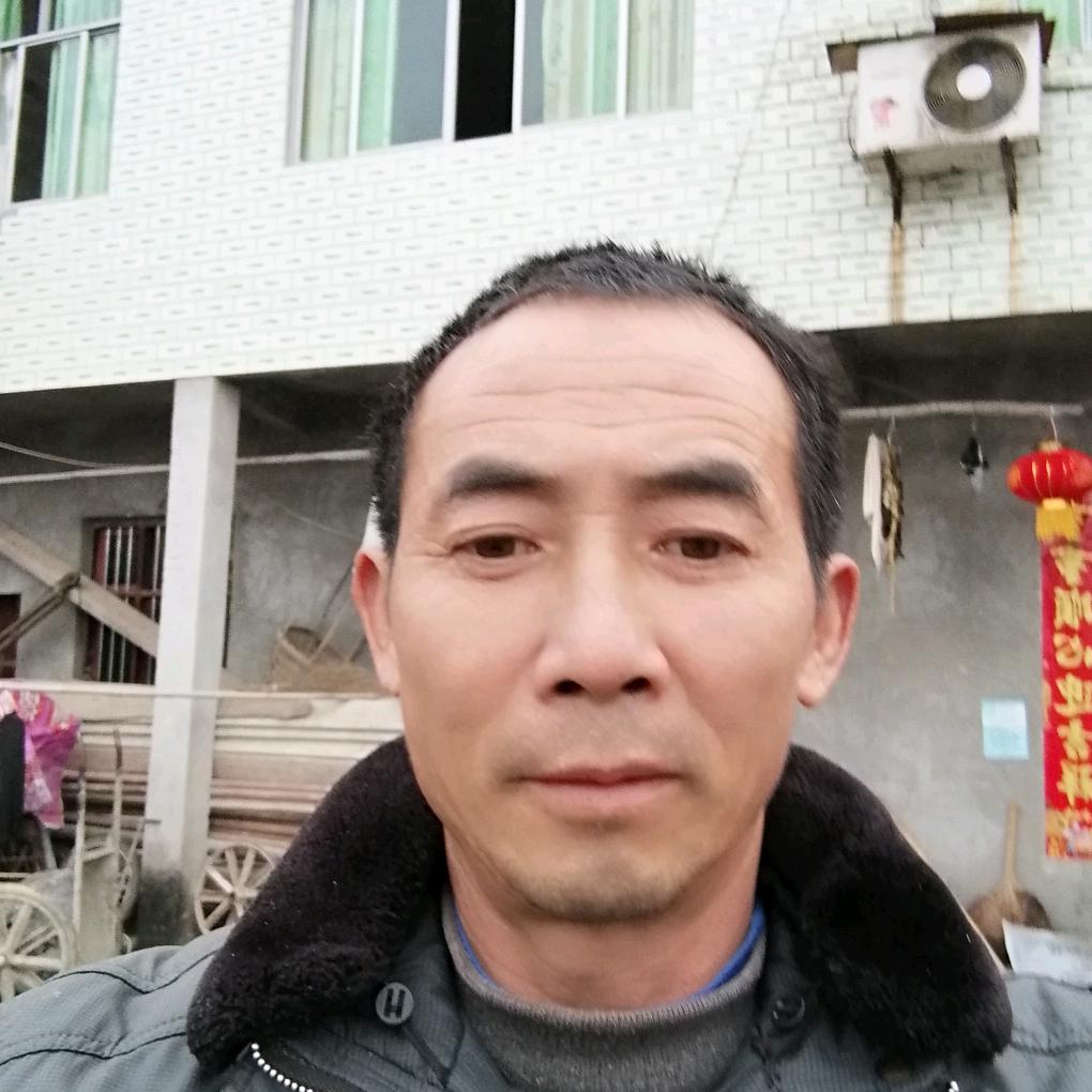 黄金龙