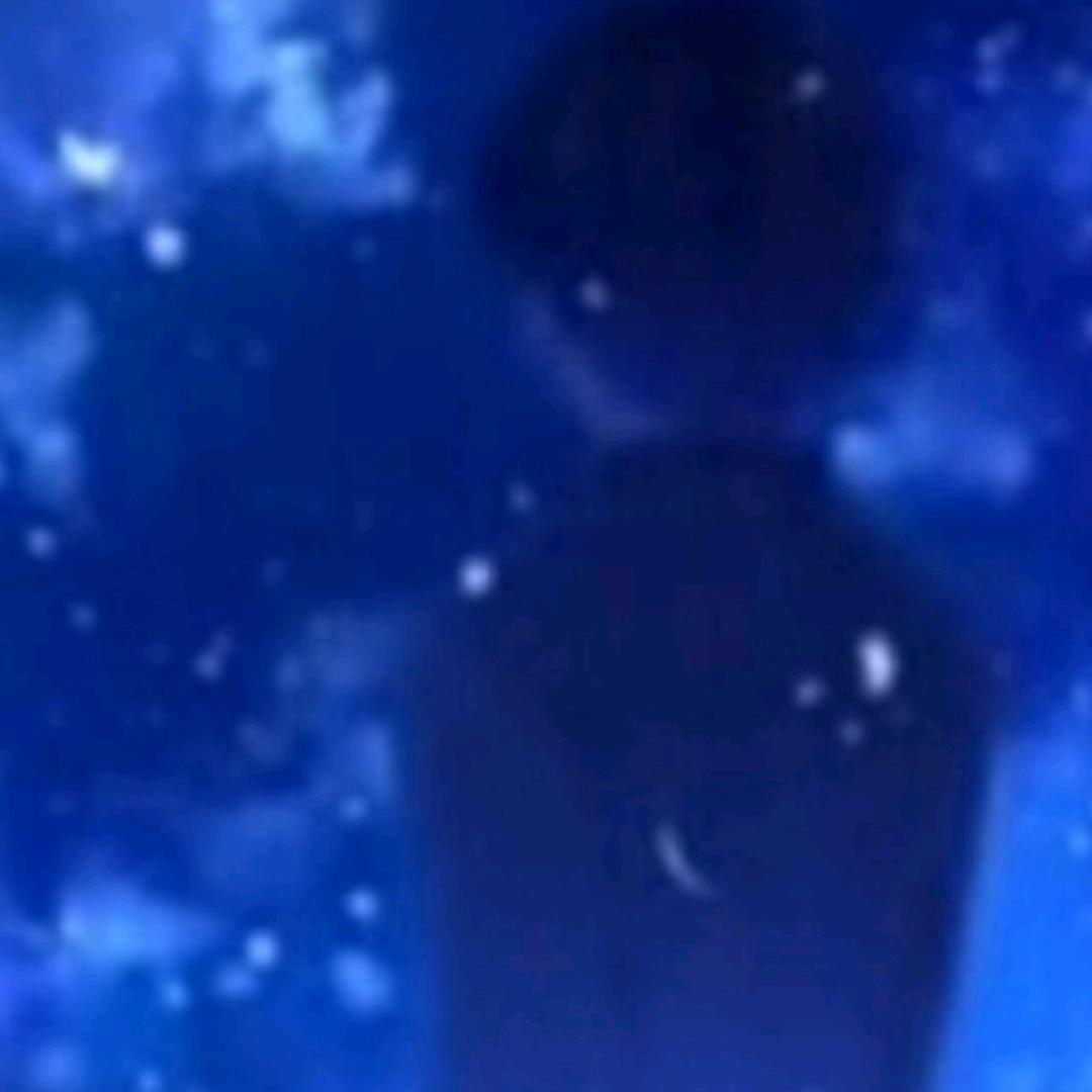 星鹤