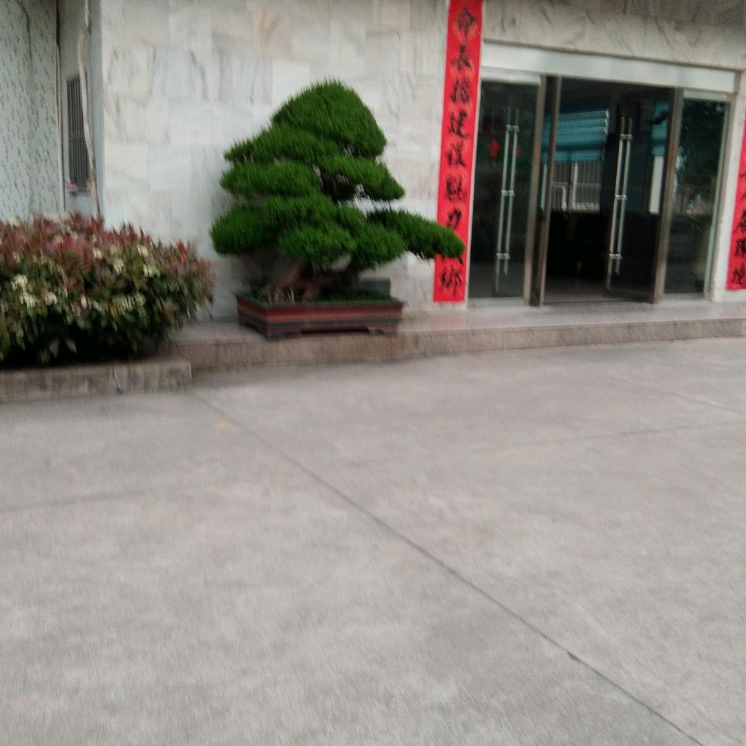 张某某