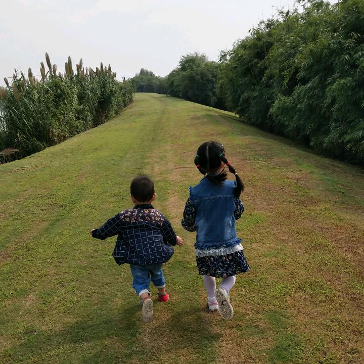村里的晓芳