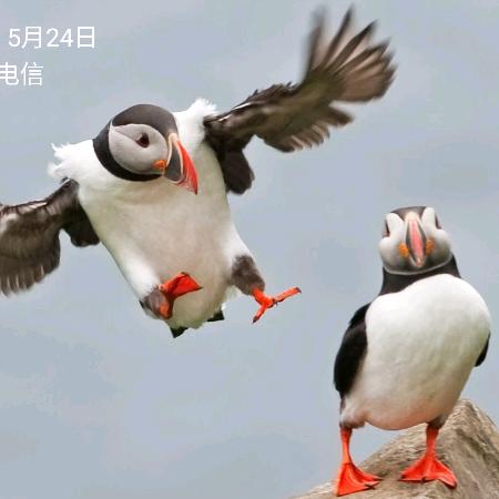 晓晓0524
