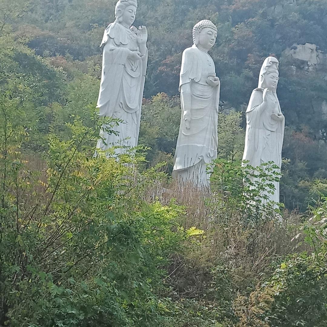 小花