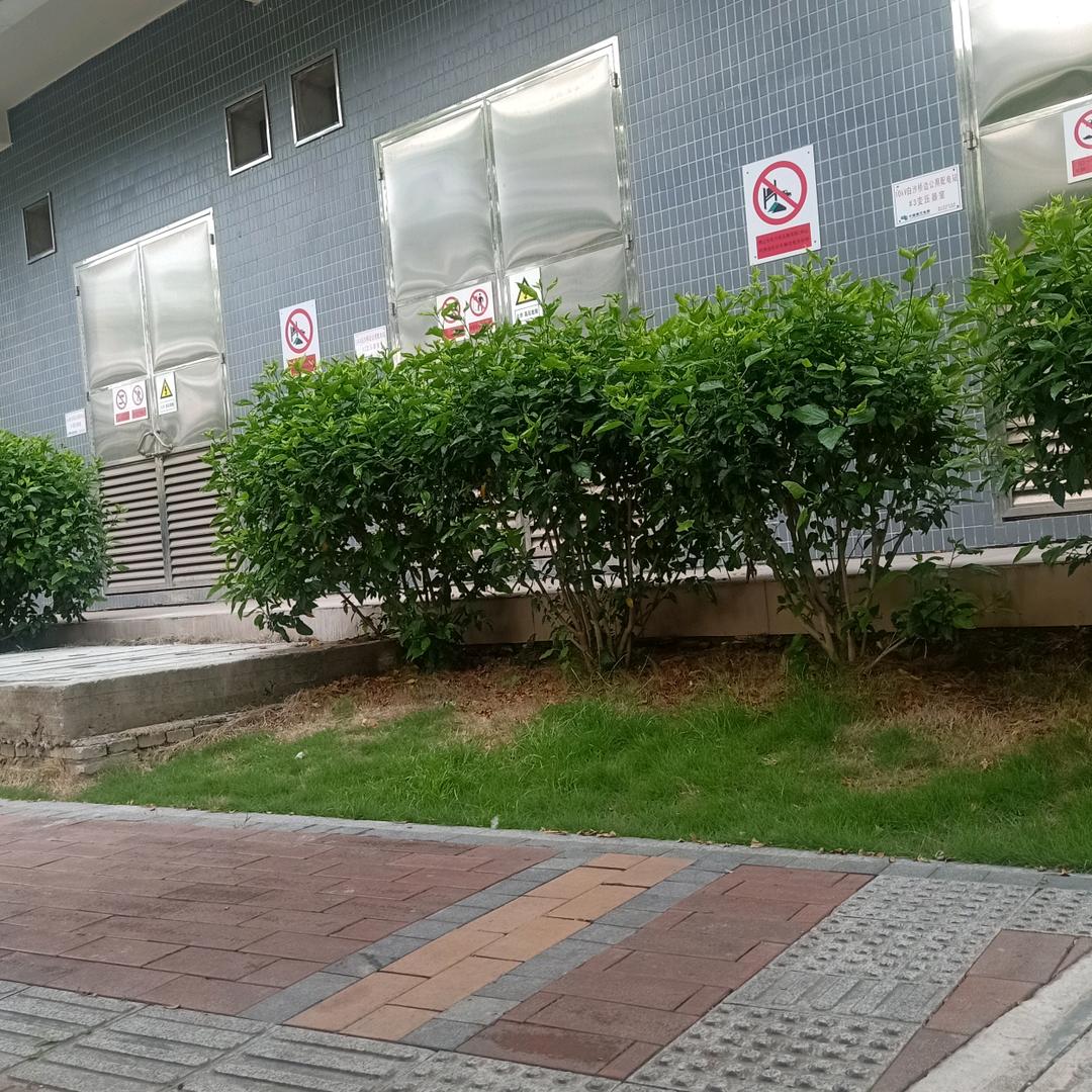 天价吊机