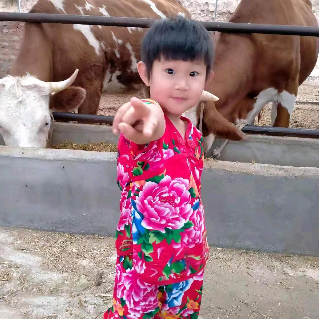 北方统部牛市刘鹏冲